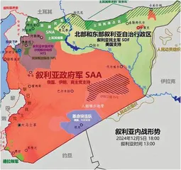 叙利亚反政府武装十二天“改朝换代”(1)3
