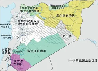 叙利亚反政府武装十二天“改朝换代”(1)4