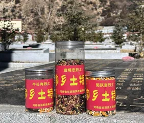 为烈士点亮“回家的灯”2