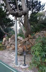 托马森眼光1