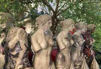 托马森眼光7