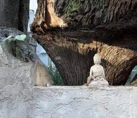托马森眼光8