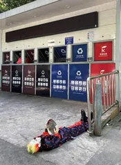 托马森眼光9