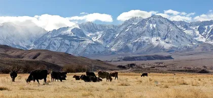 缪尔山径，光之旅程