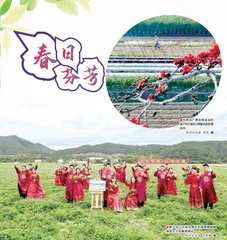 春日芬芳0