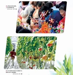春日芬芳1