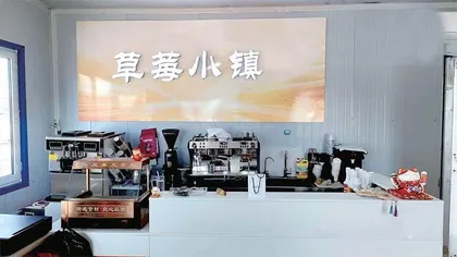春日馈赠