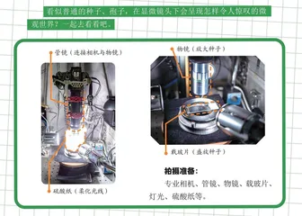 会说话的魔法水杯架 