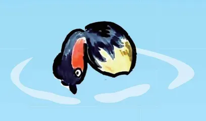 沪市/深市主板观察