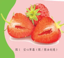 草莓“空心”是使用了膨大剂吗 