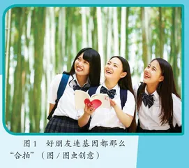 好朋友是基因挑选的“亲人”吗等
