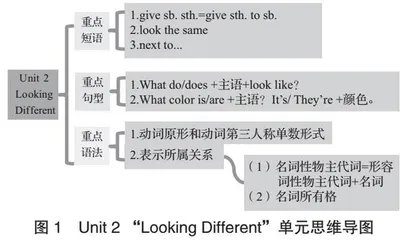 主题意义引领下的初中英语单元整体教学设计策略