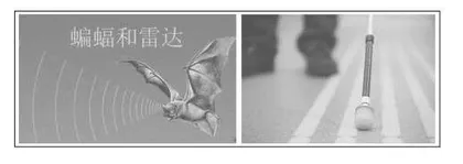 信息科技教学中增值性评价模型的构建路径
