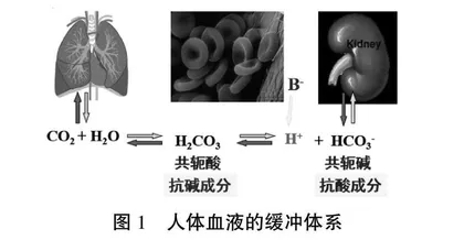 大学化学课程中的思政元素挖掘与融入