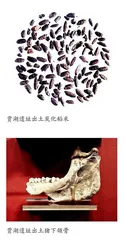 贾湖先民的饮食结构