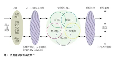 困境与蝶变：“逆袭”职校生学业韧性质性研究