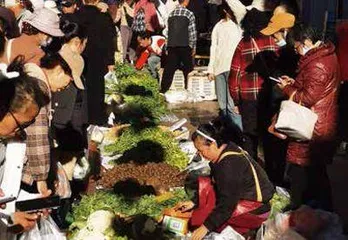 云南的春节1