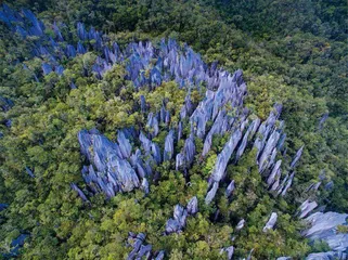 探秘姆鲁：走进雨林与洞穴的奇幻世界