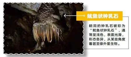 探秘姆鲁:走进雨林与洞穴的奇幻世界4