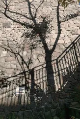 粉碎性日照3