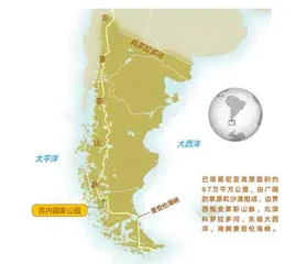 美洲狮,百内国家公园的终极传奇1