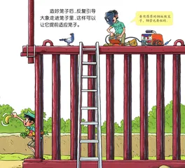 动物大搬家2