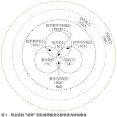 职业院校“双师”团队教师数字素养对信息化教学能力影响因素研究