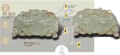 青玉龟巢荷叶佩，神秘的祥瑞之物