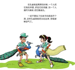 动物大搬家6