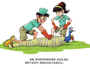 动物大搬家7