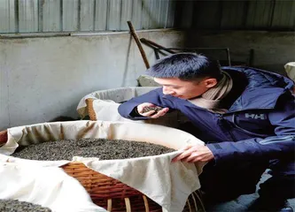 香六安,虽为拼配却是好茶3