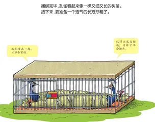 动物大搬家8