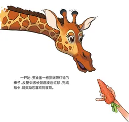 动物大搬家10