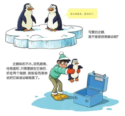 动物大搬家13