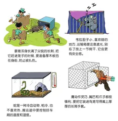 动物大搬家16