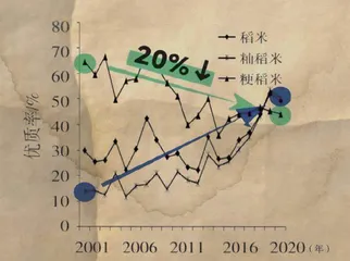 大米为什么变难吃了?1
