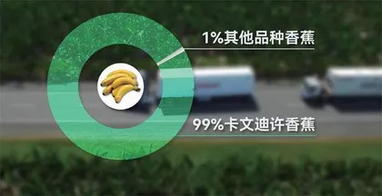 大米为什么变难吃了?6