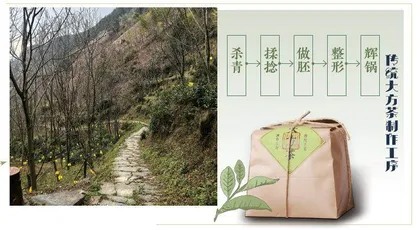 历久弥新『大方茶』1