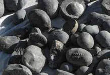 马卡鲁巴伦:大自然的“疯狂实验室”2