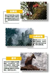 马卡鲁巴伦:大自然的“疯狂实验室”6