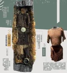 青铜时代的流动居民：艾特韦女孩