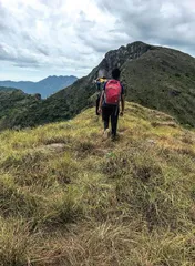 那科勒斯保护林地:薄雾缭绕之山1