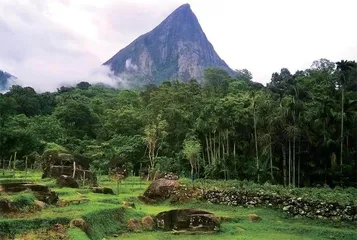 那科勒斯保护林地：薄雾缭绕之山7