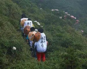 屋久岛：与自然依存千年的离岛时光4