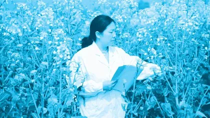 黄桃翠：深耕万亩田， “油”出丰收路1