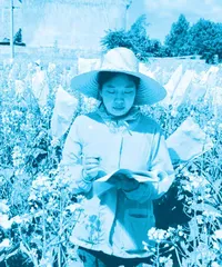 黄桃翠：深耕万亩田， “油”出丰收路2
