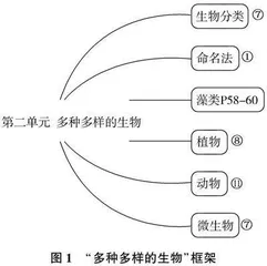 基于核心素养的初中生物学大单元教学实践探究