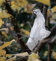 风景与想象2