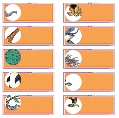 棒棒的饲养员