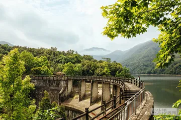 在海南，寻找最好的热带雨林9